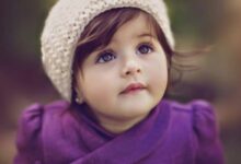 تصميم بدون عنوان 16 1