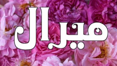 تصميم بدون عنوان 16 2
