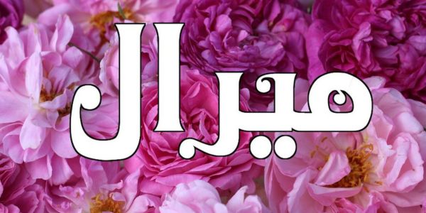 تصميم بدون عنوان 16 2