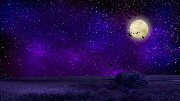 اجمل خلفيات فيس بوك عالية الجودة 8 خلفيات فيس بوك عالية الجودة7