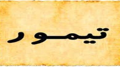 معنى اسم تيمور