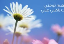خلفيات دينية جميلة جدا11