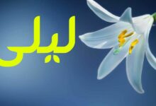 ماهي عيوب اسم ليلى