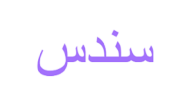 معنى اسم سندس