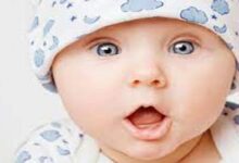 معنى اسم هاني 1