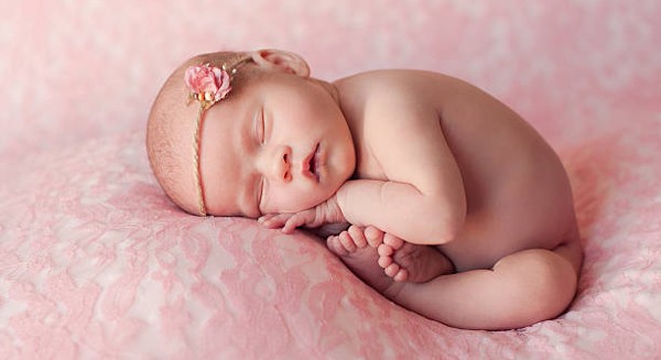 istockphoto 517528447 612x612 1