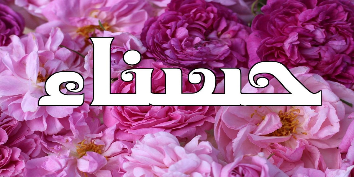 دلع اسم حسناء