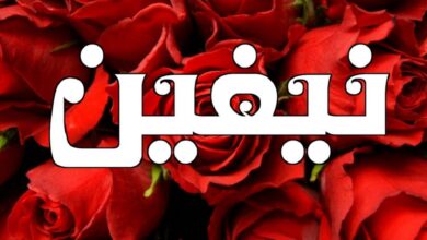 دلع اسم نيفين