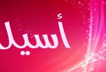 ماهي دلع اسم اسيل