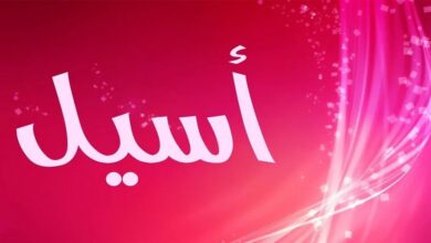 ماهي دلع اسم اسيل