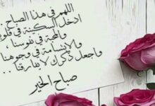 عبارات صباحية للحبيب