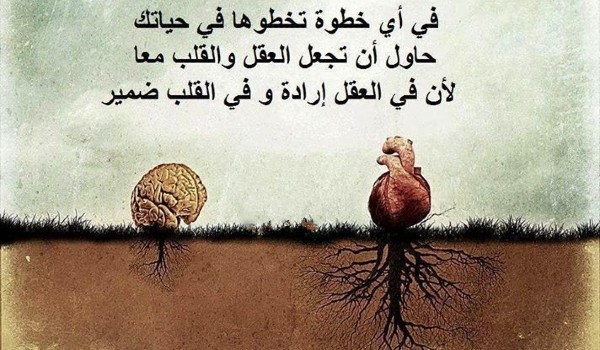 أفضل حكمة في العالم