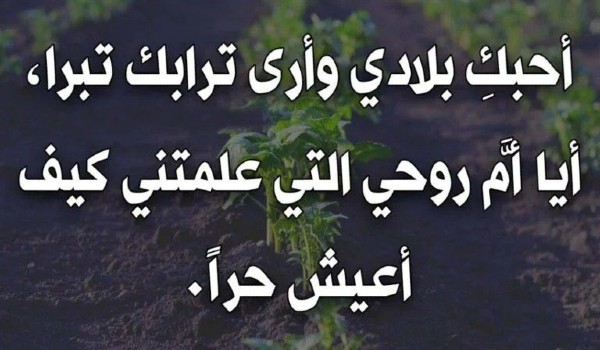 كلمة الصباح