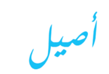 معنى اسم أصيل