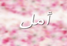 معنى اسم أمل