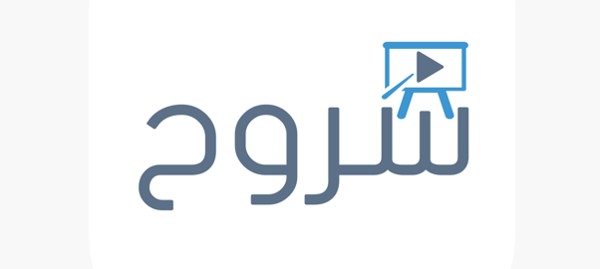 الدراسة عبر الإنترنت