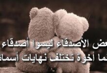 اجمل ما قيل عن الأصدقاء الأوفياء