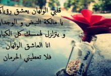 عبارات عن التعامل الراقي
