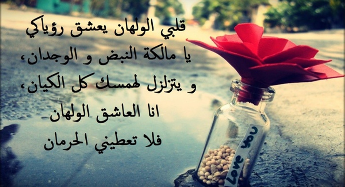 عبارات عن التعامل الراقي