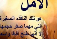 عبارات عن التفاؤل في الدراسة