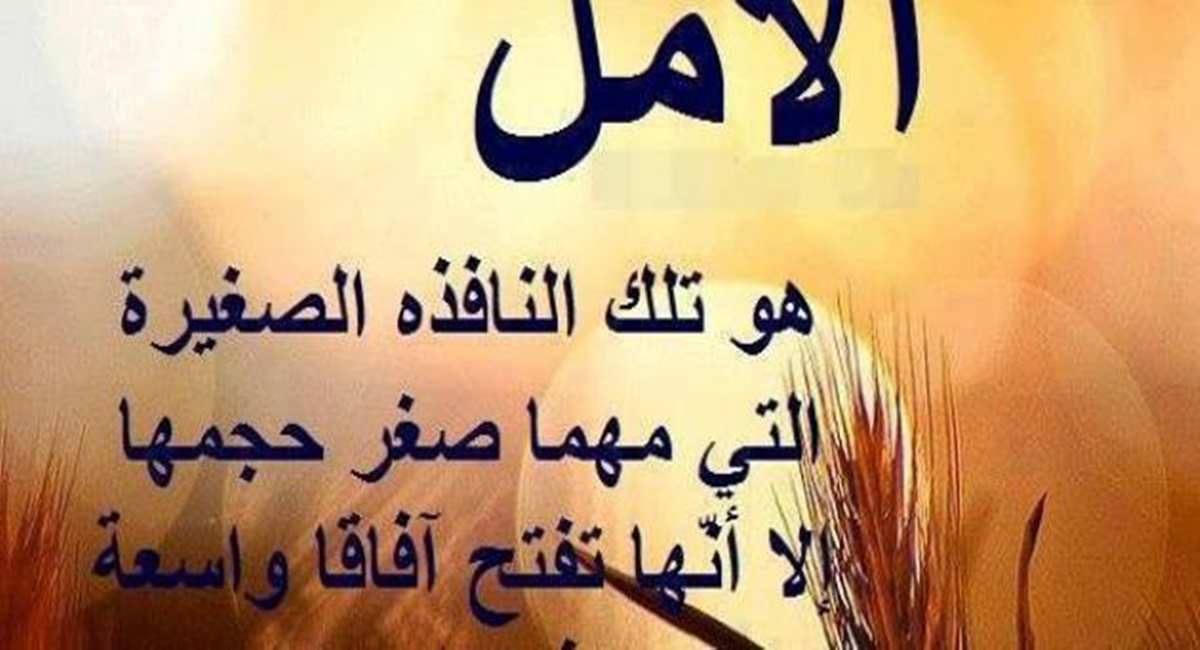 عبارات عن التفاؤل في الدراسة