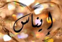 معنى اسم إيناس