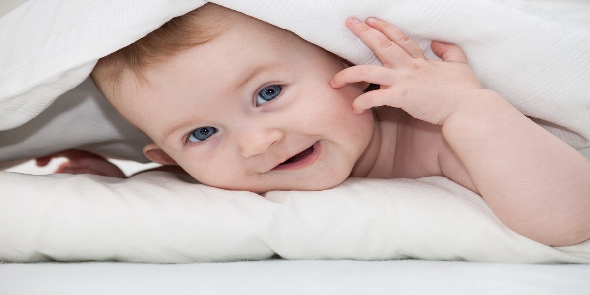 معنى اسم فارس
