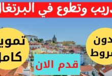 منحة دراسية مجانا في البرتغال