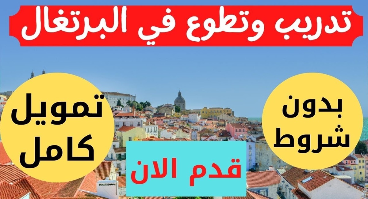 منحة دراسية مجانا في البرتغال