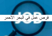 فرص عمل في البحر الأحمر