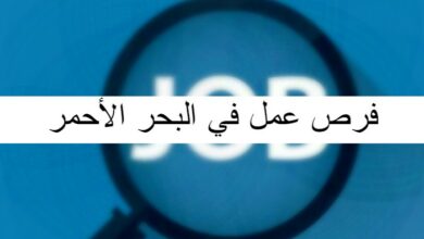 فرص عمل في البحر الأحمر