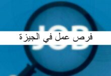 فرص عمل في الجيزة