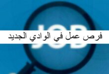 فرص عمل في الوادي الجديد
