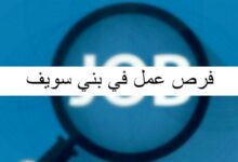 فرص عمل في بني سويف 1