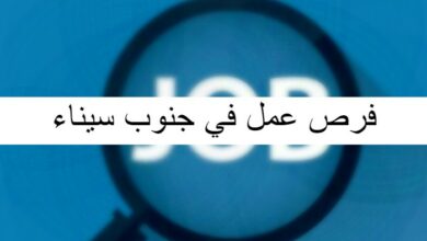فرص عمل في جنوب سيناء