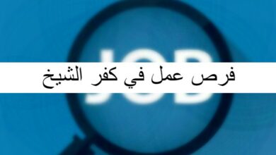 فرص عمل في كفر الشيخ