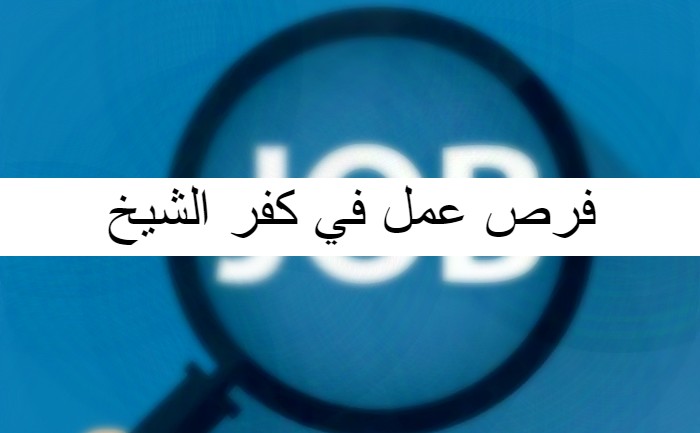 فرص عمل في كفر الشيخ