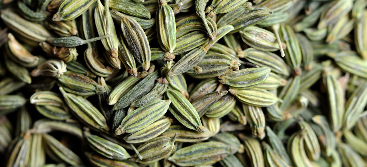 فوائد الشمر واليانسون لزيادة الوزن2