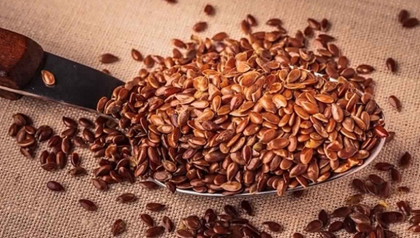 أضرار حب الرشاد وقت الدورة 3