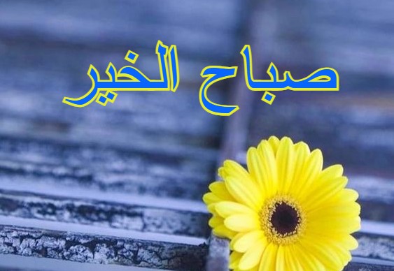 صباح الخير10 7