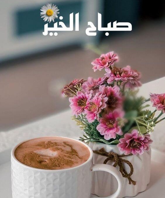 صباح الخير22 7