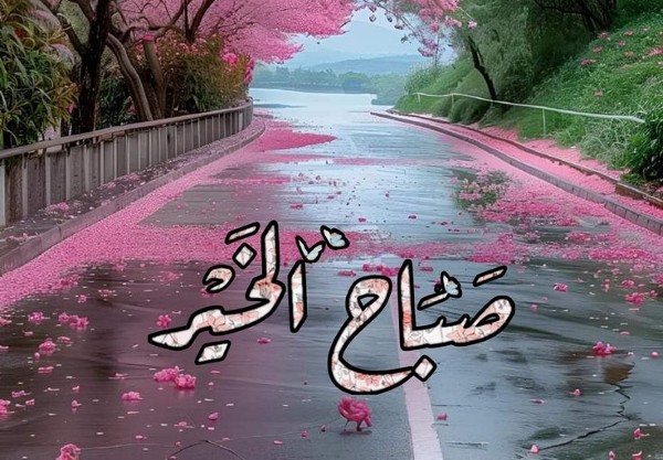 صباح الخير24 9