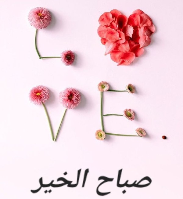 صباح الخير31 8