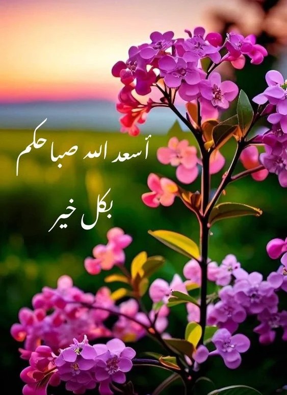 صباح الخير4 6