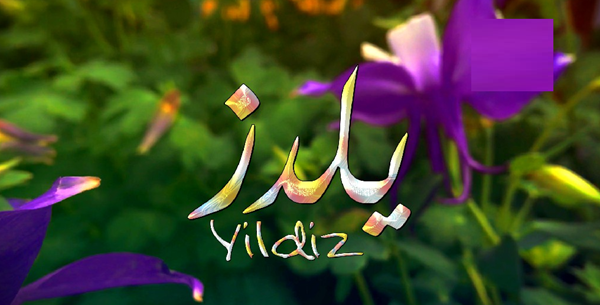 صفات اسم يلدز 1
